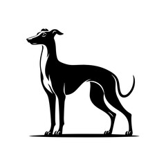Whippet Dog Vector Silhouette - Minimalist whippet Dog Illustration.