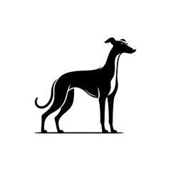 Whippet Dog Vector Silhouette - Minimalist whippet Dog Illustration.