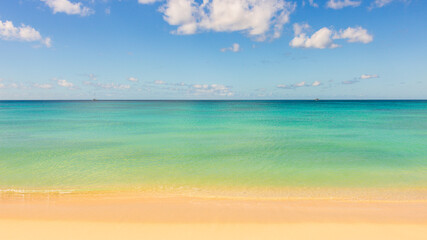 Obraz premium Barbados Island's Sandy Paradise Beach, Caribbean Island