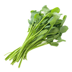 Chinese Water Spinach on white background