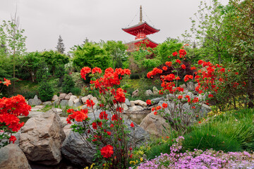 Buddhist temple in beautiful Japanese garden with flowering plants in Krasnodar