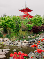 Japanese garden with a pond and buddhist temple