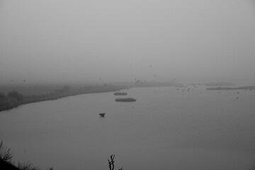 reservoir with waterfowl a sad and gray winter day covered with dense fog. Black & white image