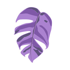 Doodle leaf  aesthetic and unique shape monstera epipremnum variegata drawing that can be used for sticker, book, scrapbook, icon, decorative, e.t.c cute with purple color