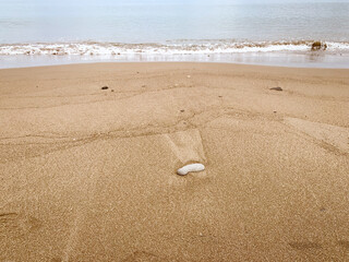 closeup of sandy beach, tranquil concept.