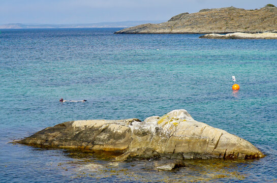 Snorkling in the Koster Islands, Sweden, with clear blue water and rocks