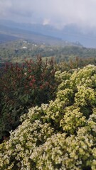 Bali Island : view from the top