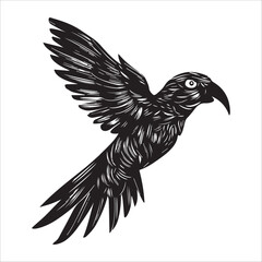 Vector silhouette of a Parrot bird with intricate body details on a White background.