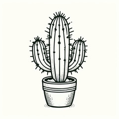 hand drawn cactus outline illustration