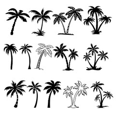 Fototapeta premium Palm tree, Bundle Pal Tree, Hand Drawn Vector Illustration