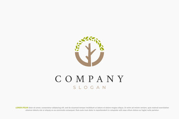 tree leaf circle modern logo