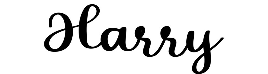 Harry - black color - name written - ideal for websites, presentations, greetings, banners, cards, t-shirt, sweatshirt, prints, cricut, silhouette, sublimation, tag