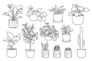 Set of plant in pot hand drawn vector illustrations house plant, home decoration