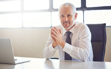 Fototapeta premium Lawyer, man and rub hands in portrait in office by laptop with online consulting for legal advice. Mature advocate, attorney and person for smile at corporate law firm for service by pc at agency