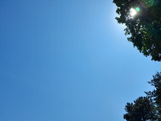 Obraz premium sun and sky, A photo of an early summer blue sky in harmony with green trees 