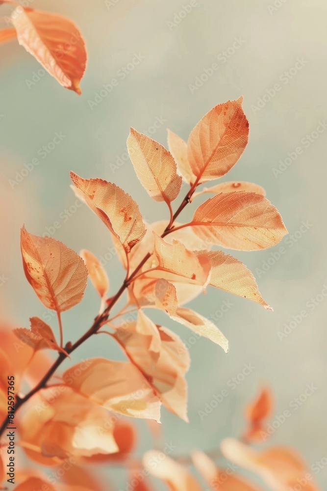 Poster Close-up photo of vibrant autumn leaves with a soft focus and beautiful bokeh effect in the background