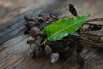 Neem or azadirachta indica dried fruits and leaf on an old wooden  background.