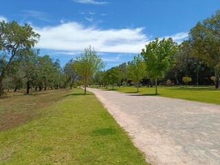 A beautiful and quiet place to enjoy nature and stunning green views