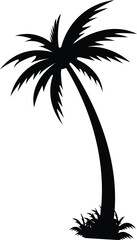 Black palm tree. Tropical palm tree and leaf silhouette. Design of palm trees for posters, banners and promotional and decoration items. Vector