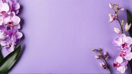 Stunning background with an overhead view of neatly arranged lilac orchids. . The background is a smooth purple gradient