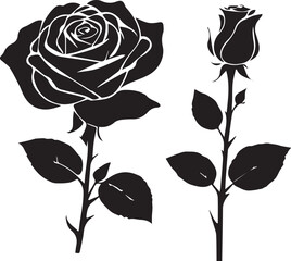 Rose vector black flower 