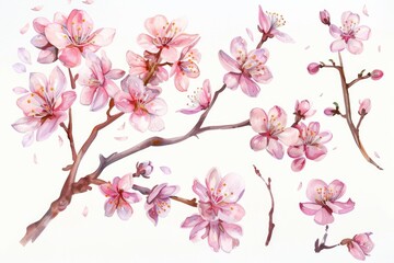 Watercolor painting of pink flowers on a branch, ideal for botanical illustrations