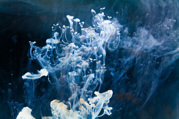 A mesmerizing dance of inky tendrils unfurling through azure waters, evoking a sense of depth and...