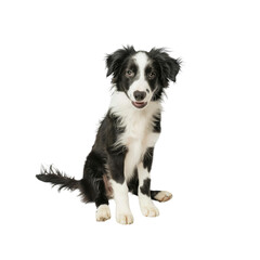 Fototapeta premium A Wrench A Quintessential Tool For Repairs, Isolated Transparent Background Images