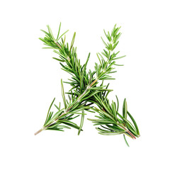 Fototapeta premium Add A Festive Touch To Your Holiday Decora, Isolated Transparent Background Images