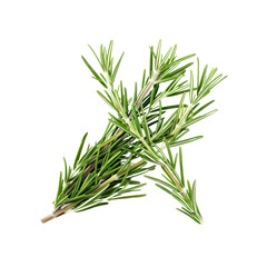 Fototapeta premium Add A Festive Touch To Your Holiday Treats, Isolated Transparent Background Images