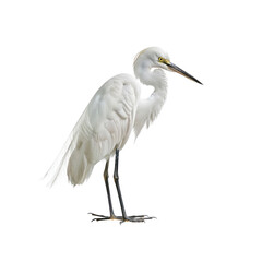 Obraz premium An Asian Man With Pen And Notebook Capture, Isolated Transparent Background Images