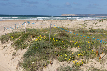 Zahara de los Atunes beach with boat and flowers on sand dunes on a bright summer sunny day with...