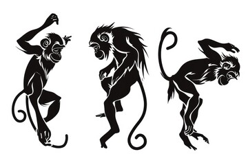 Three black and white monkeys standing upright. Can be used for educational purposes