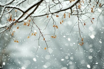Serene winter scene capturing delicate snowflakes dusting the last autumn leaves on a tree
