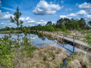 Pietzmoor - Wanderweg 