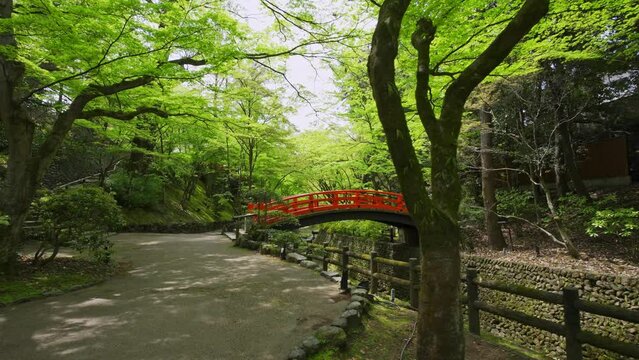 京都　北野天満宮　もみじ苑の鶯橋　新緑