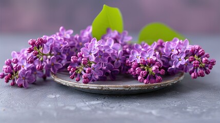   A close-up of a plate featuring purple flowers on a gray background with a lush green leaf atop it