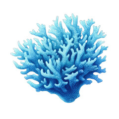 an isolated blue coral watercolor