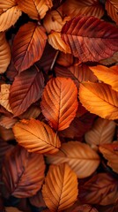 Fototapeta premium Vibrant Autumn Leaves Backdrop for Seasonal Product Presentation and Decor Concepts