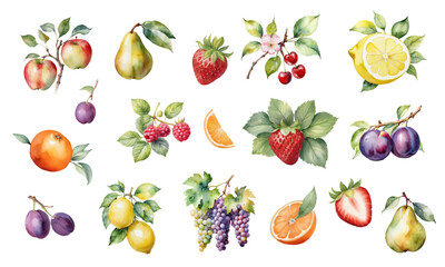Fresh Fruits A Vibrant Watercolor Collection