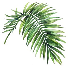 A watercolor painting of a single palm leaf