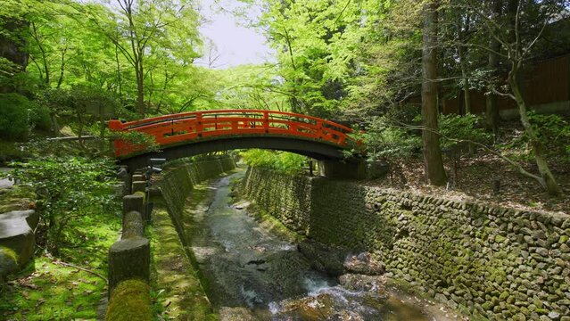 京都　北野天満宮　もみじ苑の鶯橋　新緑