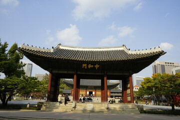 덕수궁과 덕수궁 돌담길  가을풍경 거리입니다