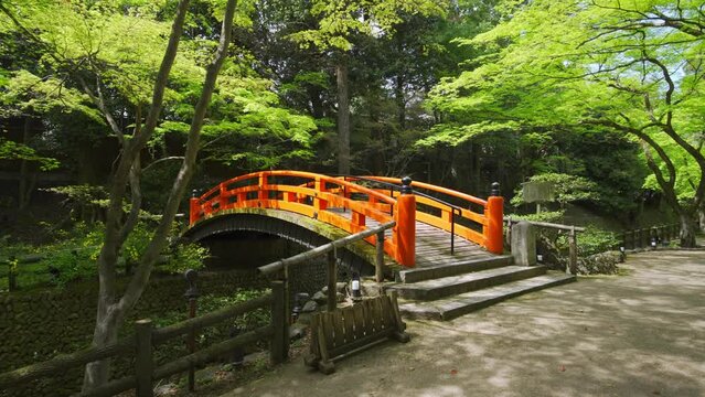 京都　北野天満宮　もみじ苑の鶯橋　新緑
