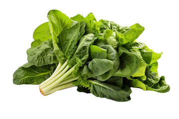 A bunch of green spinach leaves are piled on top of each other. The leaves are fresh and vibrant, and they look healthy and nutritious. Concept of abundance and vitality