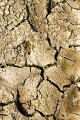 cracked land