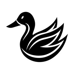 duck isolated on white