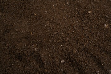 Ground Coffee Best Backgrounds 2024