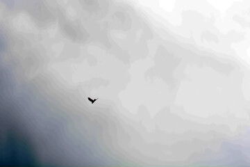 A black bird flies in the sky.