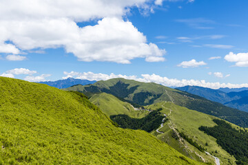Naklejka premium Taiwan 11 July 2023: Beautiful hiking trail in Hehuanshan of Taroko National Park at Taiwan